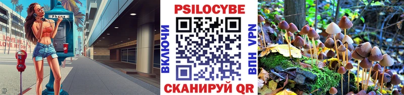 Купить  Кропоткин  Галлюциногенные грибы мицелий 